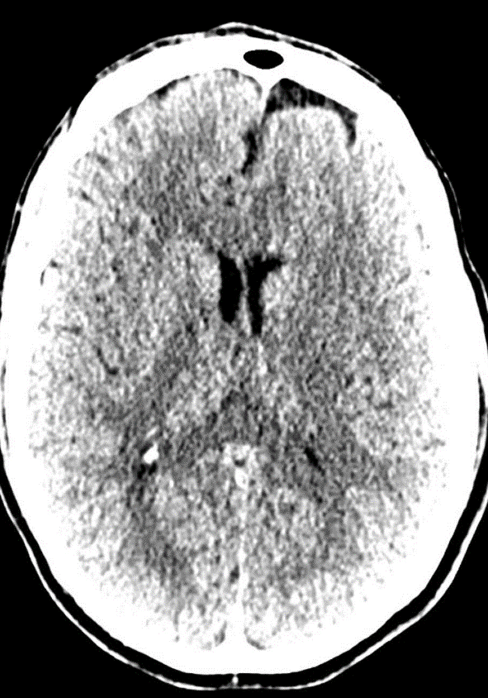 datascientists before