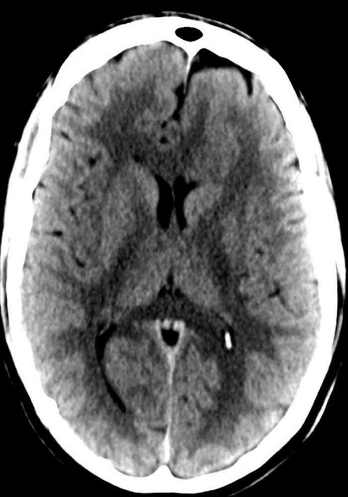 datascientists after