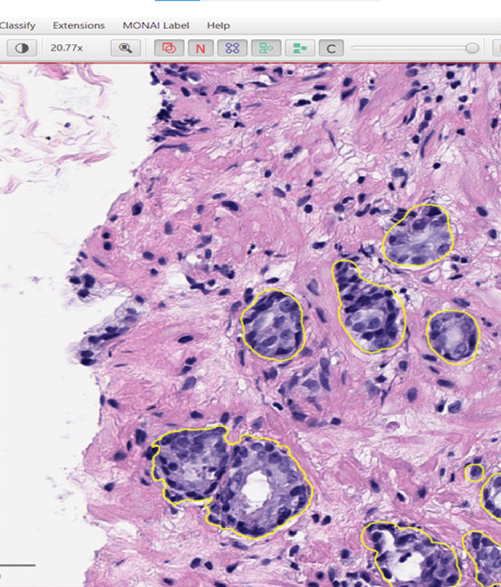 radiology plus 3d-rendering